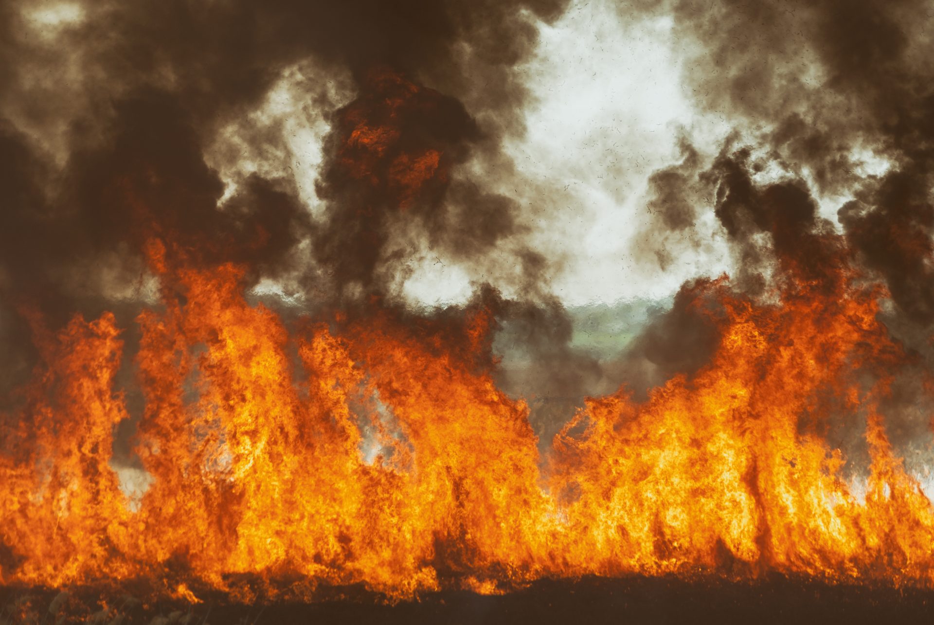 The raging flame of fire burn in the fields, forests and black thick acrid smoke. Big wildfire close-up Großbrand